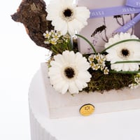 نسمات البنفسج