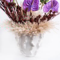 أرجوان أنيق