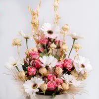 نبض الأنوثة