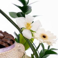 فراشة الورد