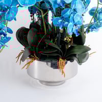 سحر الأزرق الملكي