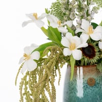 توازن أنغام الطبيعة