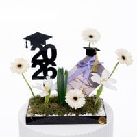 جربيرا التخرج