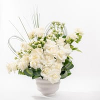 نقاء الياسمين