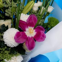 أزرق اللوتس