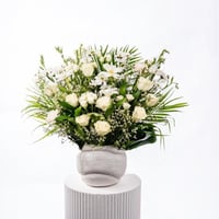 نقاء الياسمين