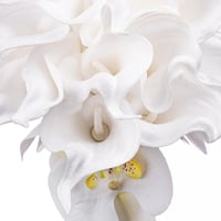 كالا الفخامة النقية