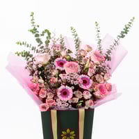 جربيرا روزي دريم