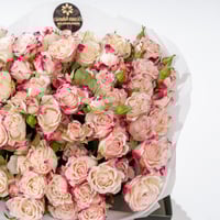 همسة سبراي روز