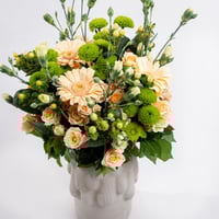 جاذبية الربيع