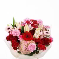 قمر الهيدرنجا