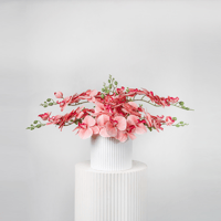 همسة الأوركيد