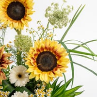 إشراقة خضراء