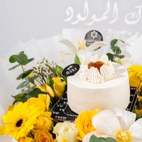 فرحة الجربيرا