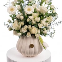 نقاء اللوتس