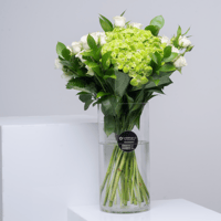 هالة النقاء