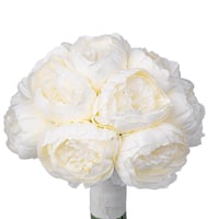 لمسة بيوني كلاسيكية