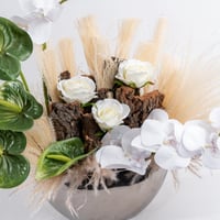 نسمات بيضاء