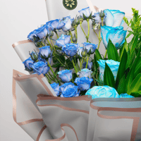 همسة سماوية