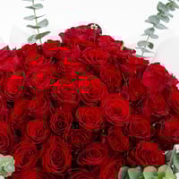 تاج الجوري الأبيض