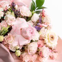 نبض الجوري الوردي