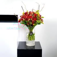 هالة الغرام