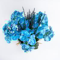 سحر الأزرق الملكي