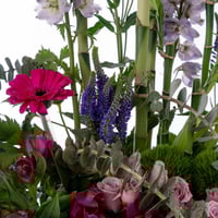 همسة البنفسج والورد