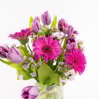 توليب الحكاية