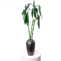 انسياب أخضر