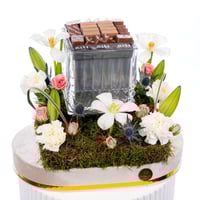 بياض الفخامة