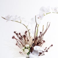 أنسام الأوركيد