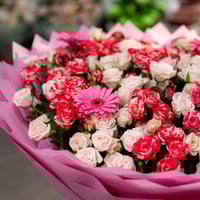 سيمفونية الكارنشين والورد