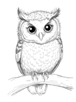 بومة صغيرة لطيفة – صفحة تلوين رقمية للأطفال Cute B...