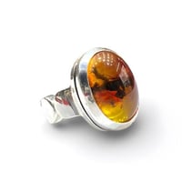 خاتم ملكي بالكهرمان المحشر