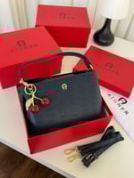 شنطة نسائية أنيقة أيجنر