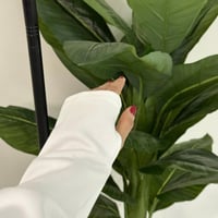 جاكيت الهلال الجديد