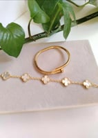 أسواره فإن كليف وكارتير