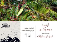 بوكس التوفير