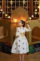 فستان مطرز انيق