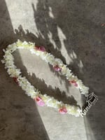 عقد تخرج 2025 ورد