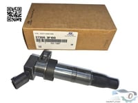 273003F100 كويل سوناتا اصلي