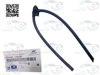 254401R000 غطاء قربة رديتر اكسنت 2013 اصلي