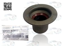 222243CAB0 جلود بلوف 6 سلندر(ازيرا+سنتافيه+كرنفال+...