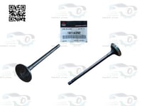 1011A392 بلوف ونيت ديزل اصلي (السعر للحبة)