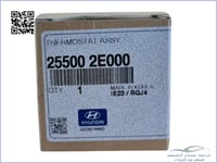 255002E000 بلف حرارة اصلي