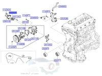 2550025001 بلف حرارة سوناتا أصلي