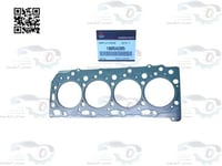 1005A205 وجه رأس ونيت 2008 دبل ديزل اصلي