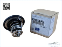 255002E000 بلف حرارة اصلي