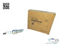 1884410060 بواجي اكسنت اصلي (السعر للحبة)